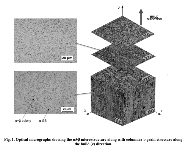 feat-34026-Screen-Shot-2020-03-03-at-10.33.38-AM
