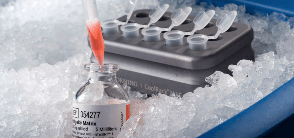 feat-34202-Screen-Shot-2020-03-12-at-13.55.00-1024×480-1